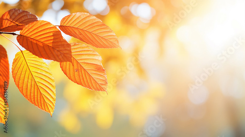 autumn abstract background, elm branch with yellow leaves on a background with a copy space, october sky