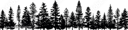 A captivating set of horizontal silhouettes showcasing coniferous fir trees, standing tall against a transparent background. Generative AI 