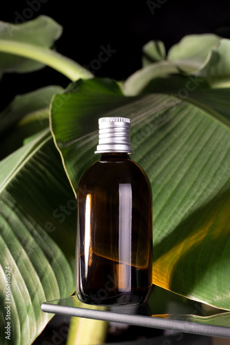 Amber glass bottle, eucalyptus leaves and banana leaves. Natural organic cosmetic packaging, luxury beauty products for body care.