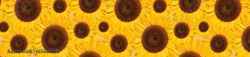 Sunflower with yellow petals and a dark center pattern.