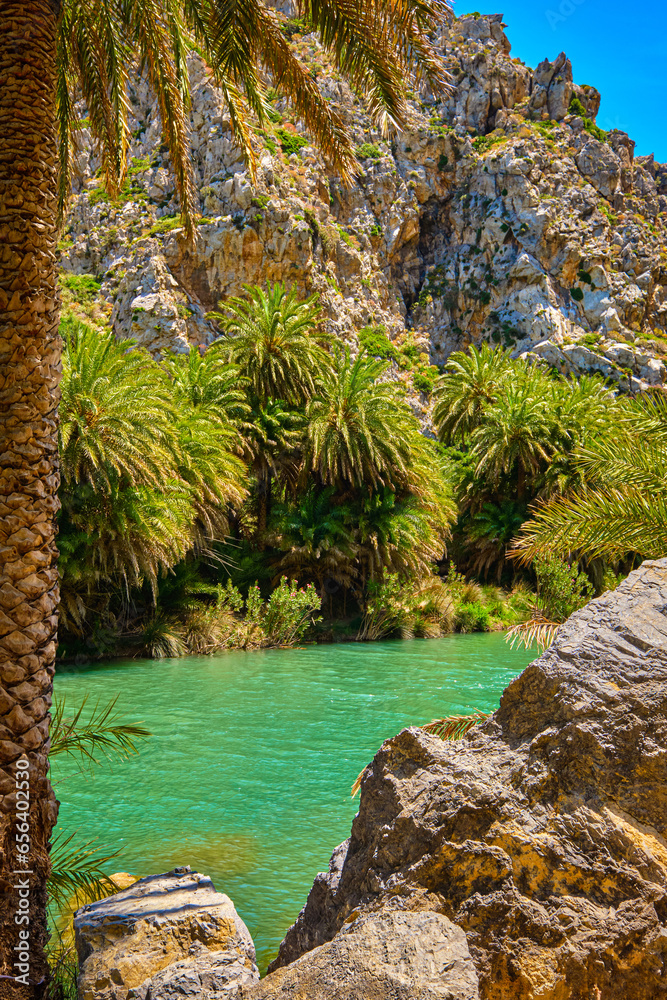 Sunny day at river stream and palm tree forest, Preveli, Crete, Greece