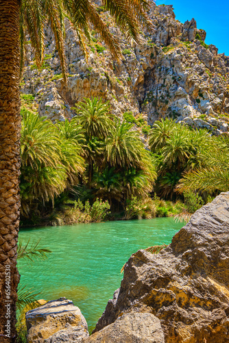 Obraz na płótnie Sunny day at river stream and palm tree forest, Preveli, Crete, Greece w salonie