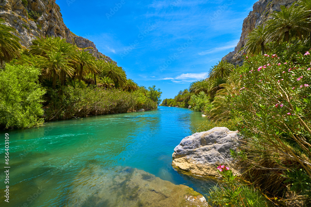 Sunny day at river stream and palm tree forest, Preveli, Crete, Greece