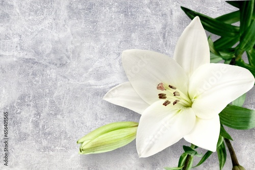 Fototapeta Naklejka Na Ścianę i Meble -  White beautiful fresh lily flowers on desk