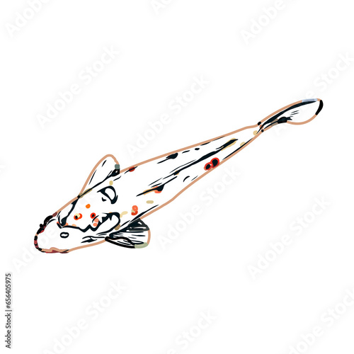 Color sketch of koi fish with transparent background