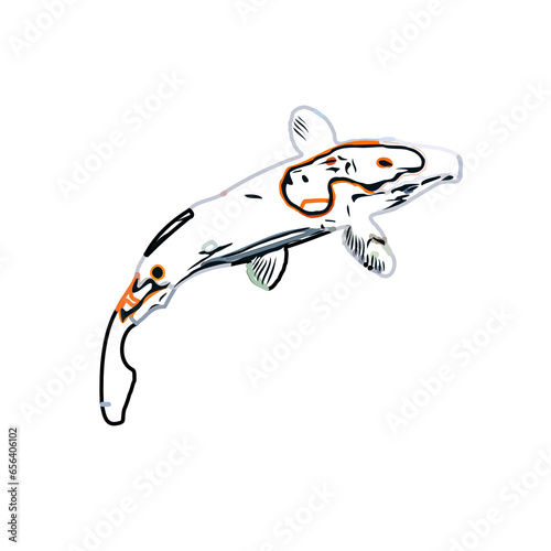 Color sketch of koi fish with transparent background
