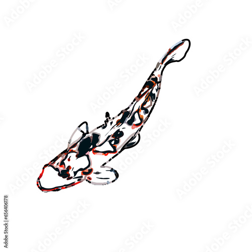 Color sketch of koi fish with transparent background