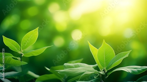 Fresh green leaves in a summer garden. A beautiful natural background for spring and ecology themes.