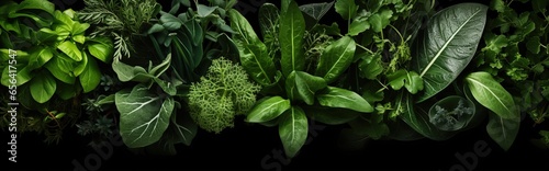 closeup view of various kinds of plants.plant background with dark natural appearance.
