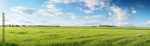 natural panorama of green grassland with blue sky during the day. natural panorama during summer