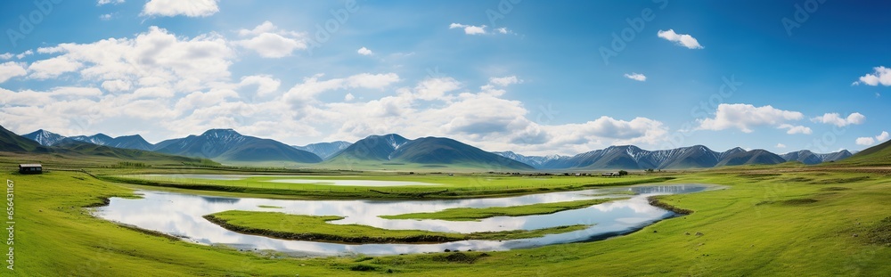natural panorama of green grassland with blue sky during the day and swamp. natural panorama during summer