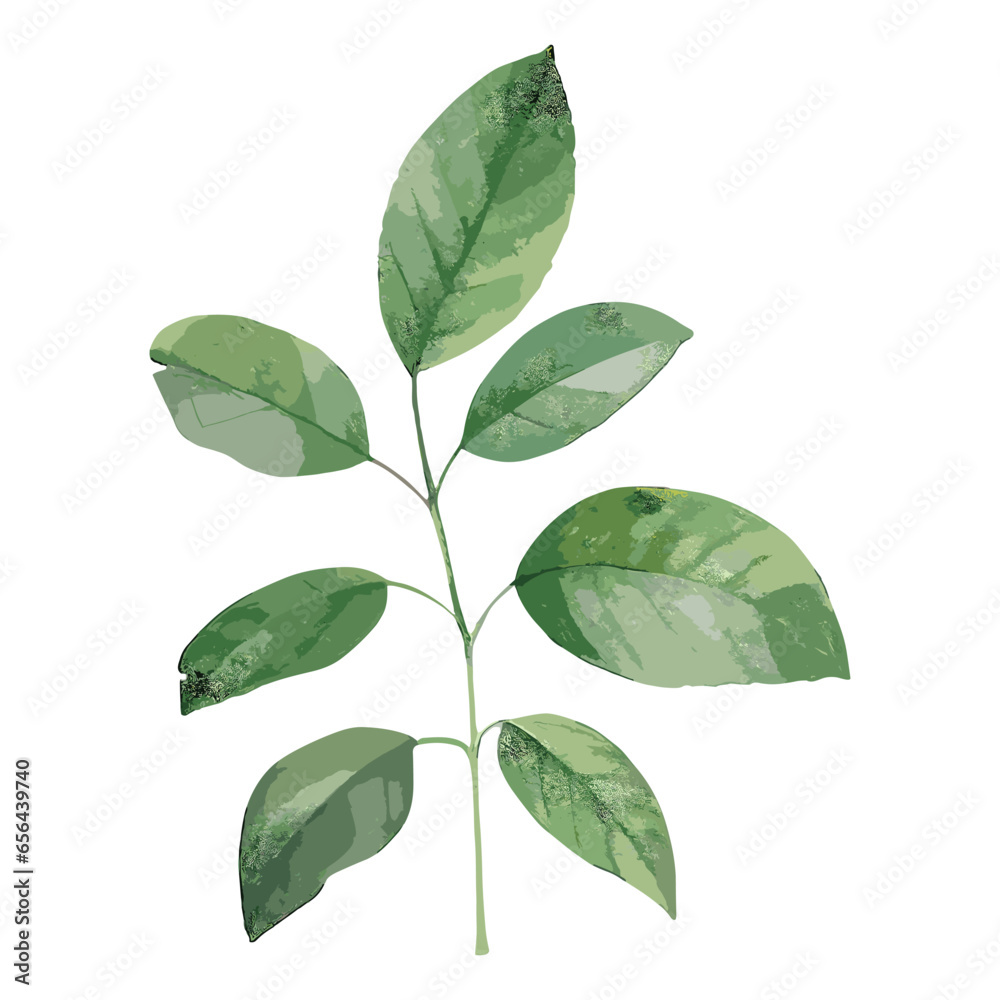 These pre-designed images offer a variety of hand-painted watercolor leaves in green tones, ideal for your design projects. These pre-designed images offer a variety of hand-painted watercolor leaves in green tones, ideal for your design projects.