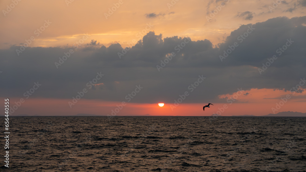 夕日と一羽の鳥