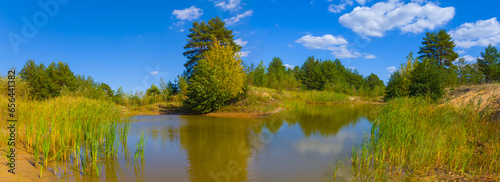 small lake with sandy coast in the forest forest, beautiful summer outdoor scene