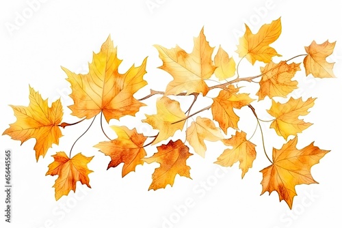 Beautiful yellow autumn leaves image isolated on a white background. Generative AI