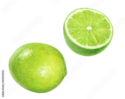 Close-up view watercolor illustration of a lime fruit, isolated on white background.