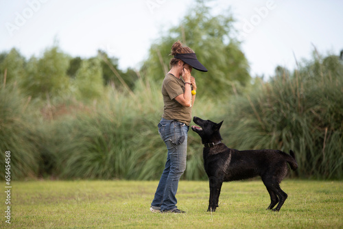 Great and amazing Black Malinois dog raze