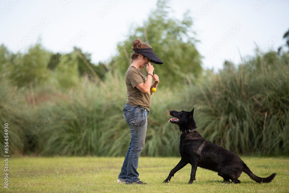 Great and amazing Black Malinois dog raze Great and amazing Black Malinois dog raze