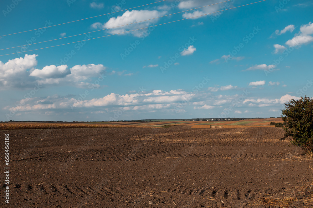 Fototapeta premium Ukrainian fertile fields autumn landscape