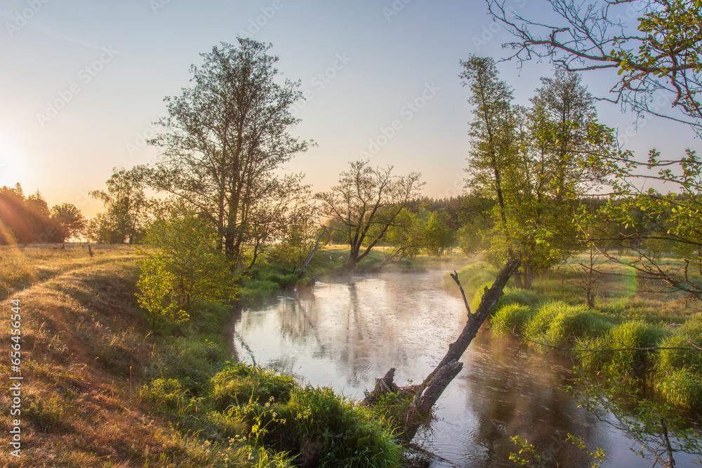 Beautiful landscape of nature and turn of the river at thr sunny morning. Early morning walk through the meadow. Morning fog over river Sula, turn of river, sand beach. Close up view yellow flowers, g
