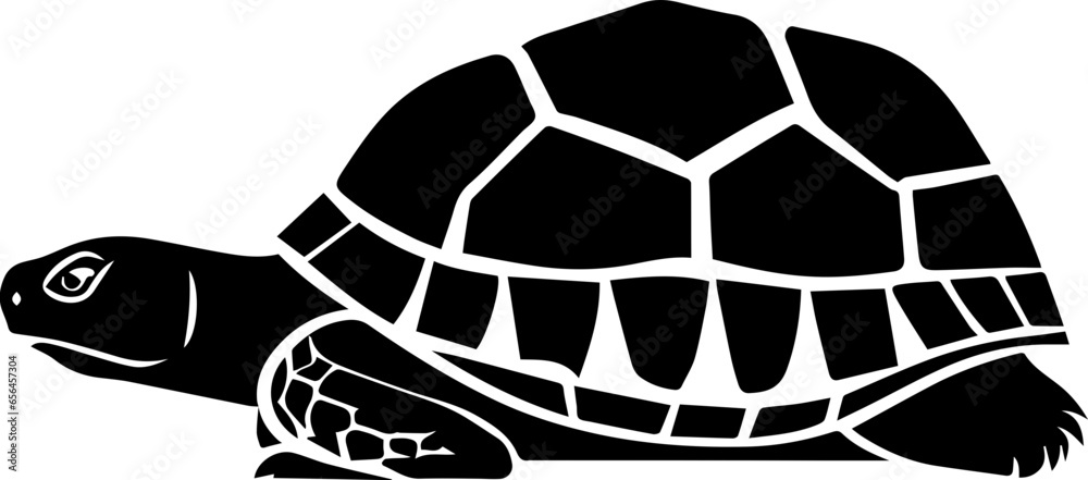 Obraz premium Gopher Tortoise icon 3