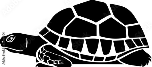 Gopher Tortoise icon 3