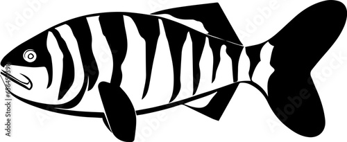 Goliath Tigerfish icon 7