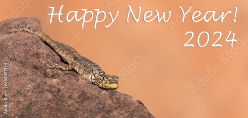 Happy New Year 2024, Lizard, Orange Background, Animal, Chapada Dos Guimarares, Brazil, Mato Grosso photo
