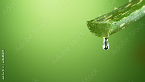 Aloe vera slices under wate...