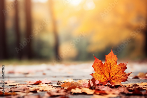 Autumn leaves  with rich warm colors  focused on the orange themes and the traditional October marketing season