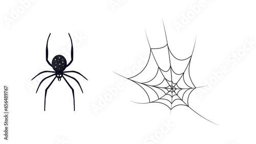 A spider and a spider web vector illustration 