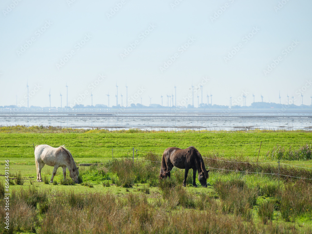 Obraz premium Die Insel Langeoog