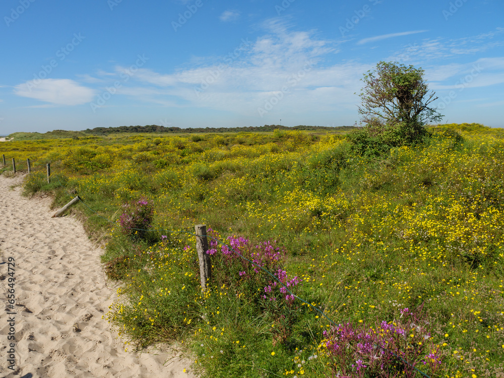 Fototapeta premium Sommer auf der insel langeoog