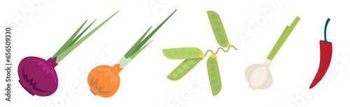 Harvest with Fresh and Ripe Organic Food and Product Vector Set
