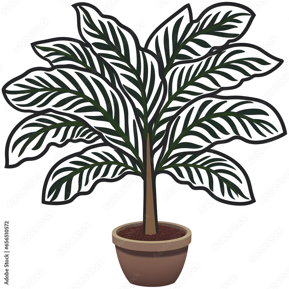 Cartoon clipart of a decorative zebra plant, plant clipart, nature