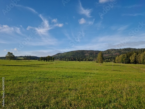 meadow in the mountains