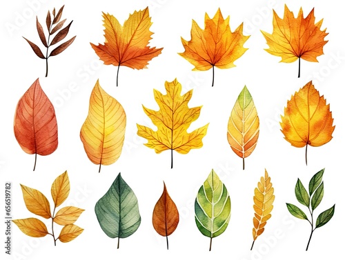 A set of watercolor autumn leaves in different shapes, sizes, and colors on a white background.