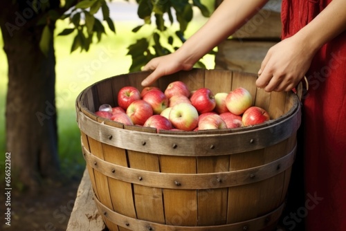 hand holding a basket of apples by a cider press photo