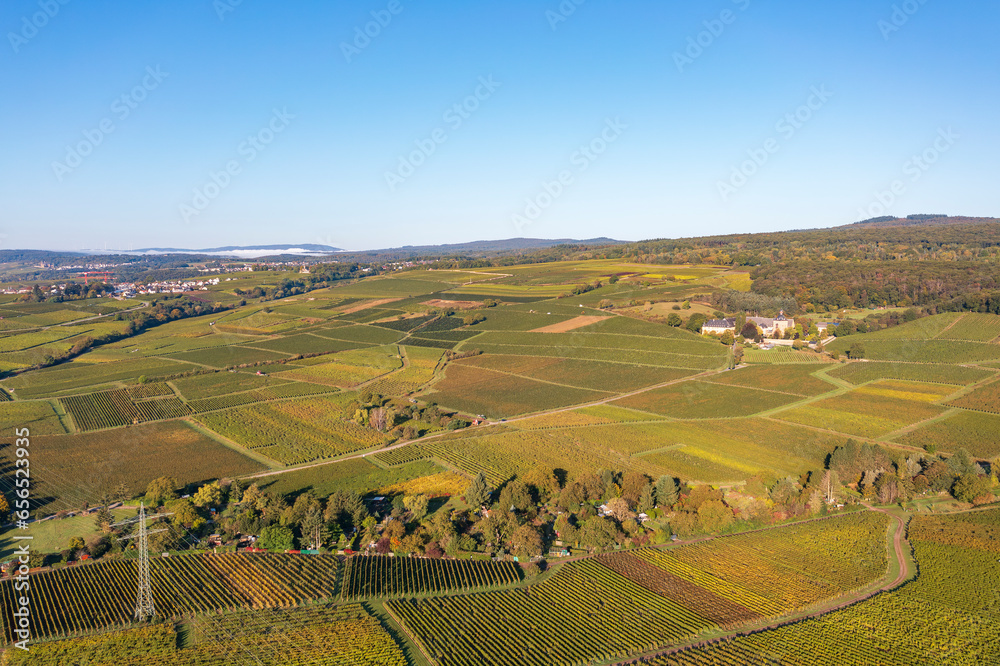 Bird's eye view of Vollrads Castle in the middle of vineyards near Oestrich-Winkel/Germany in the Rheingau in autumn