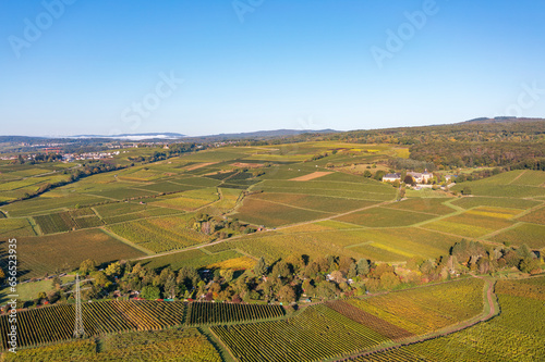 Bird's eye view of Vollrads Castle in the middle of vineyards near Oestrich-Winkel/Germany in the Rheingau in autumn © fotografci
