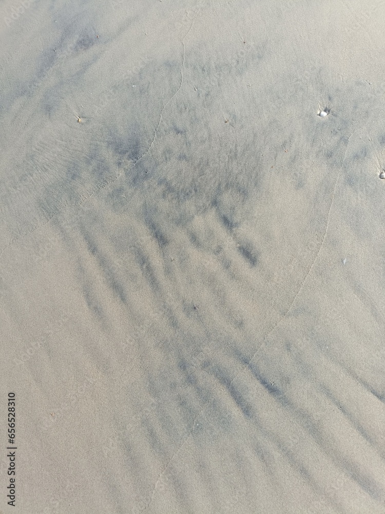 Fototapeta premium graphic pattern(Vertical)