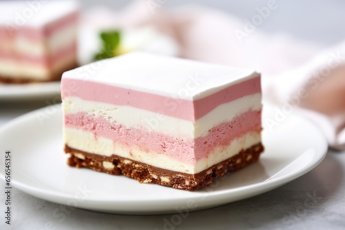 neapolitan ice cream slice on a white plate