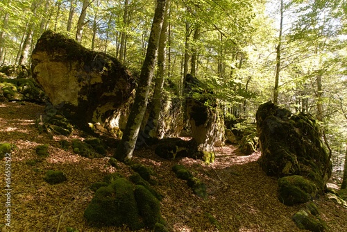 Natural sculpture in the national park of the naval spain of urbasa an area called enchanted forest. photo
