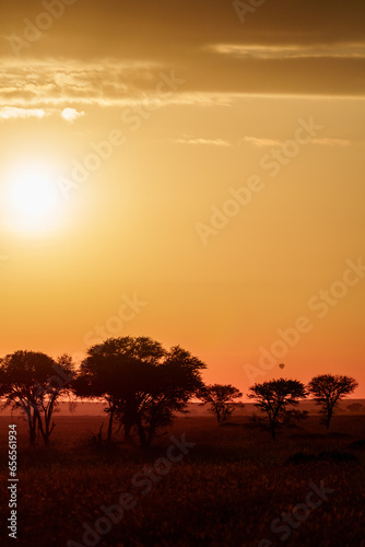 sunset in the serengeti