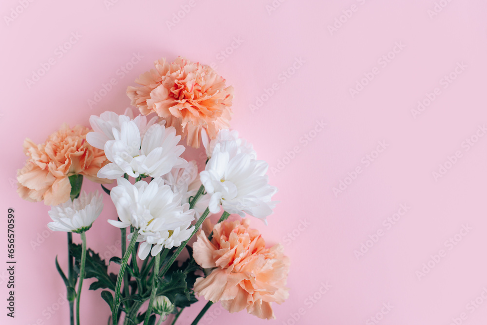 Beautiful peach pastel carnation and white chrysanthemum flowers on a pink background.
