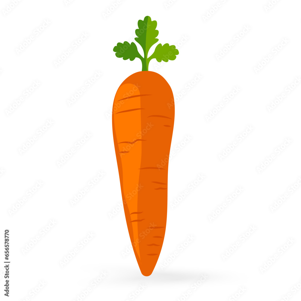 A fruity carrot icon isolated on white background vector illustration A fruity carrot icon isolated on white background vector illustration