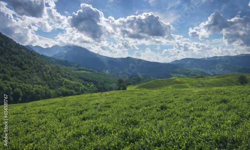 Nature's Canvas: A Panoramic Journey Through the Alps