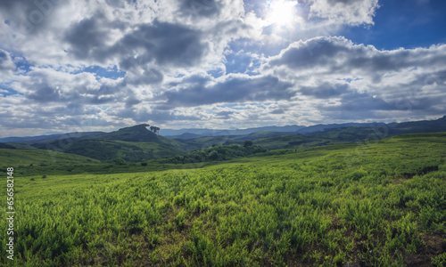 Nature's Canvas: A Panoramic Journey Through the Alps