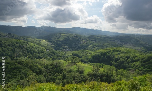 Nature s Canvas  A Panoramic Journey Through the Alps