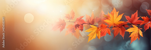 Colorful universal natural panoramic autumn background for design with orange leaves and blurred background.